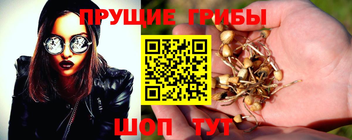 Псилоцибиновые грибы ЛСД Фролово